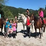 Campingplads Hillside Bio Glamping Prebold