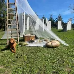 Hillside Bio Glamping * Prebold