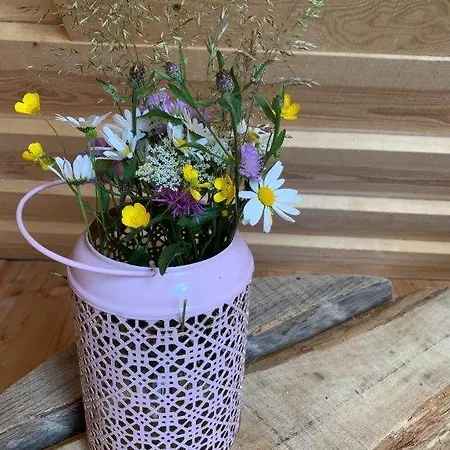 Kemping Hillside Bio Glamping