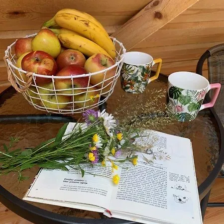 Hillside Bio Glamping