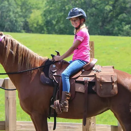Hillside Bio Glamping Kemping Prebold