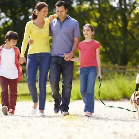 Hillside Bio Glamping *