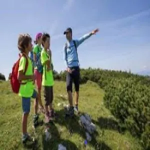 Hillside Bio Glamping Kemping