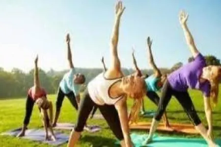 Hillside Bio Glamping Kemping *