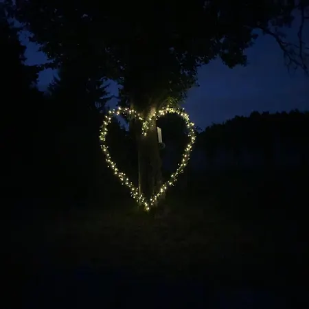 Hillside Bio Glamping Prebold