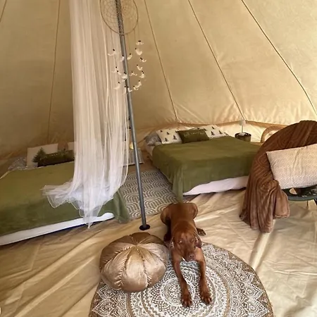 Hillside Bio Glamping *
