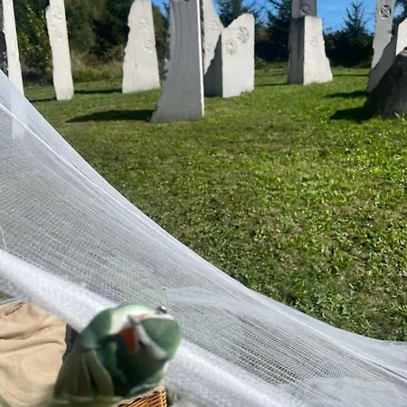 Hillside Bio Glamping