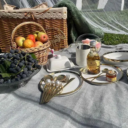 Kamp alanı Hillside Bio Glamping