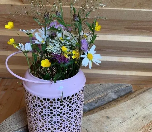 Kemp Hillside Bio Glamping