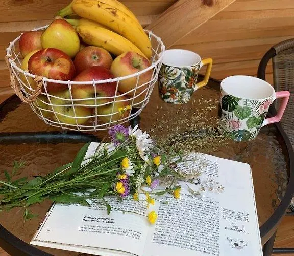 Hillside Bio Glamping