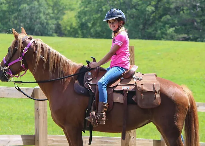 Hillside Bio Glamping Kemp Prebold