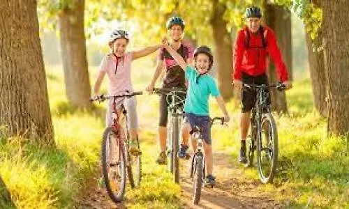 Hillside Bio Glamping キャンプ場