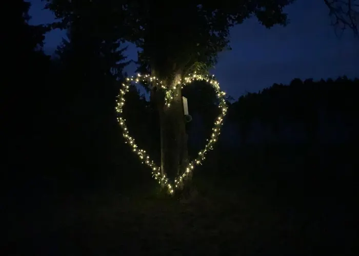 Hillside Bio Glamping Prebold