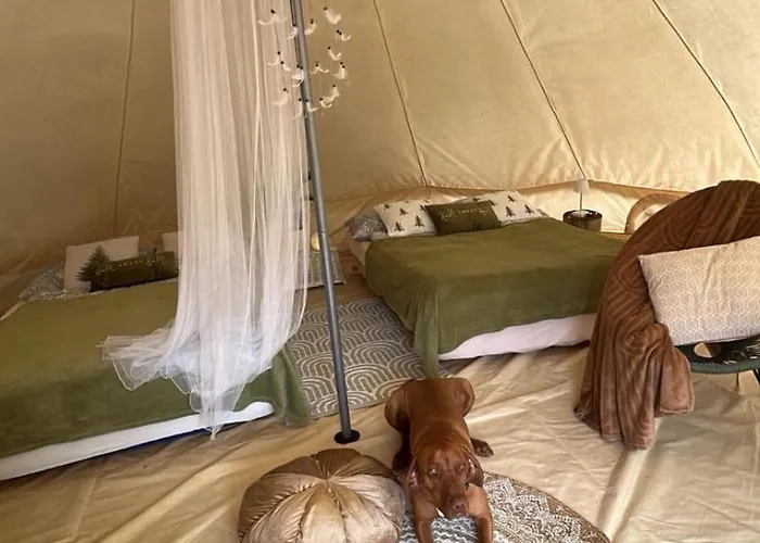 Hillside Bio Glamping *