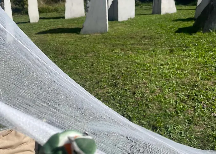 Hillside Bio Glamping